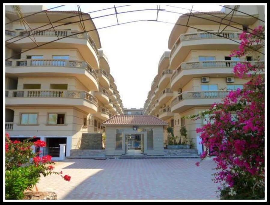 The Best Holidays Apartments In הורגהדה מראה חיצוני תמונה